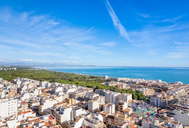 Apartamento - Obra nueva - Guardamar del Segura - Centro