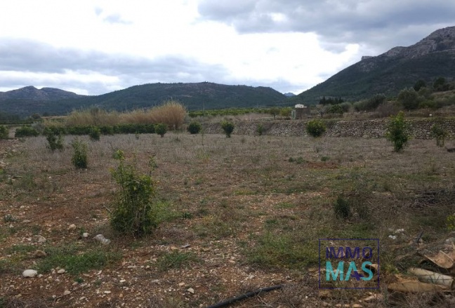 Parcela / Terreno - Reventa - Alcalalí - Alcalalí