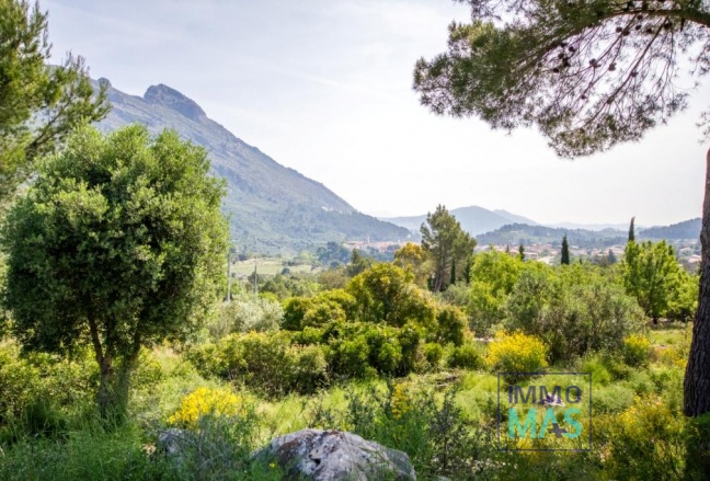 Parcelle / Terrain - Revente - Benigembla - Benigembla