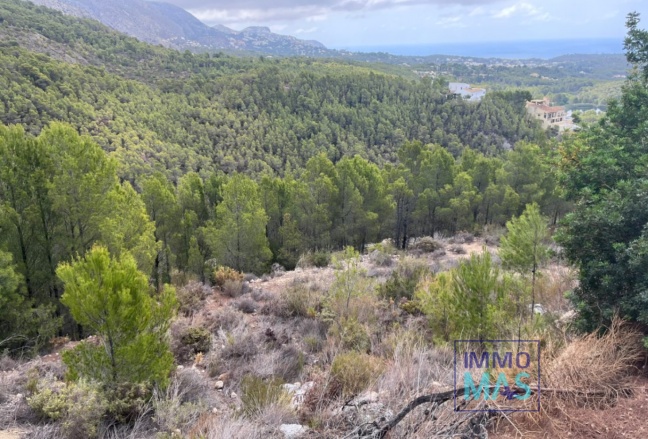 Parcelle / Terrain - Revente - Callosa De Ensarrià - Callosa De Ensarrià