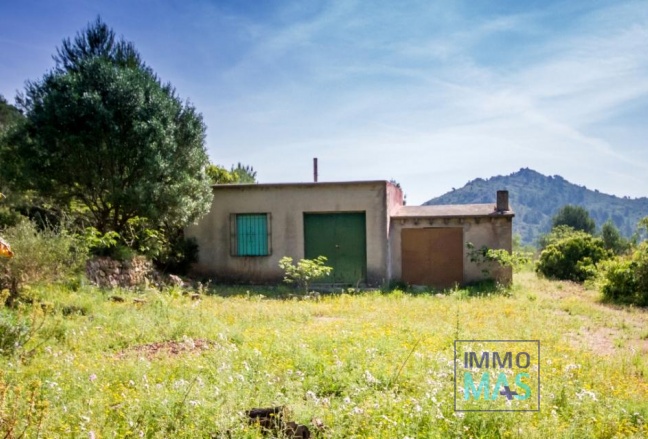 Perceel / Grond - Herverkoop -
            Murla - 1967