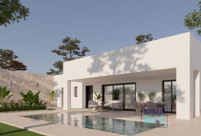 Villa - New Build - Pinoso - Lel