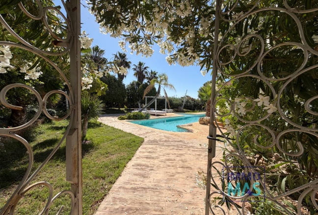 Villa - Reventa - Elche - Carrús Oeste