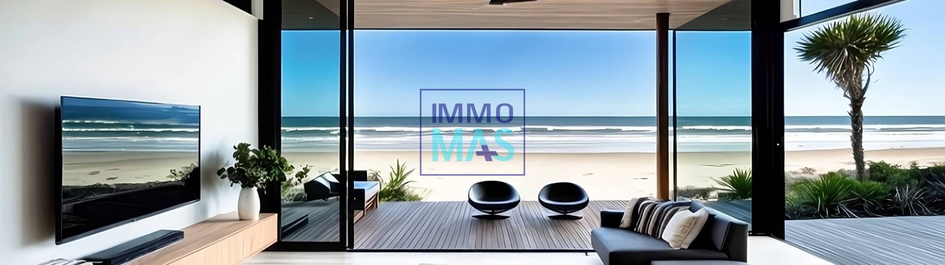 About IMMOMAS