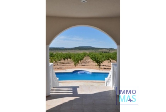 New Build - Villa - Pinoso - Campo