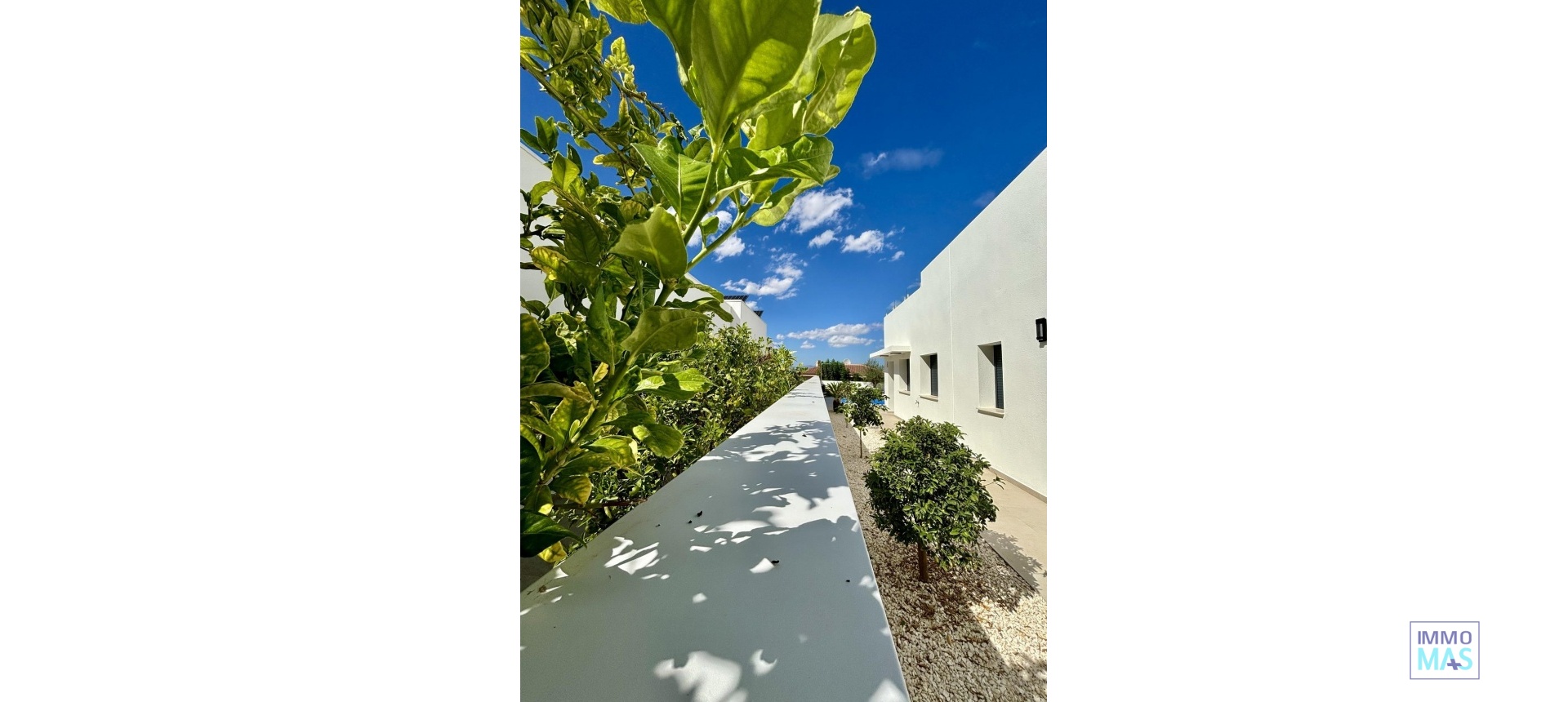 Nouvelle construction - Villa - Benijofar - Pueblo