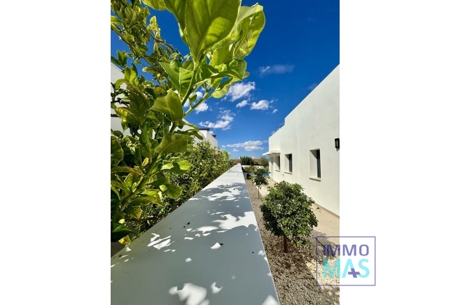 Nouvelle construction - Villa - Benijofar - Pueblo