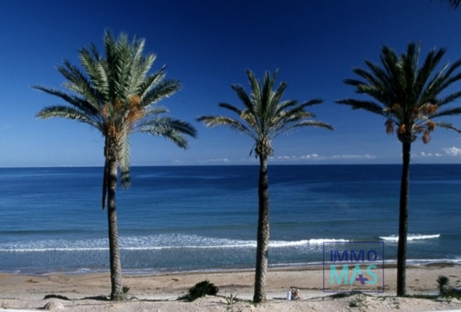 Nouvelle construction - Maison de ville - Pilar de la Horadada - Parque Ramon eugenio Escudero