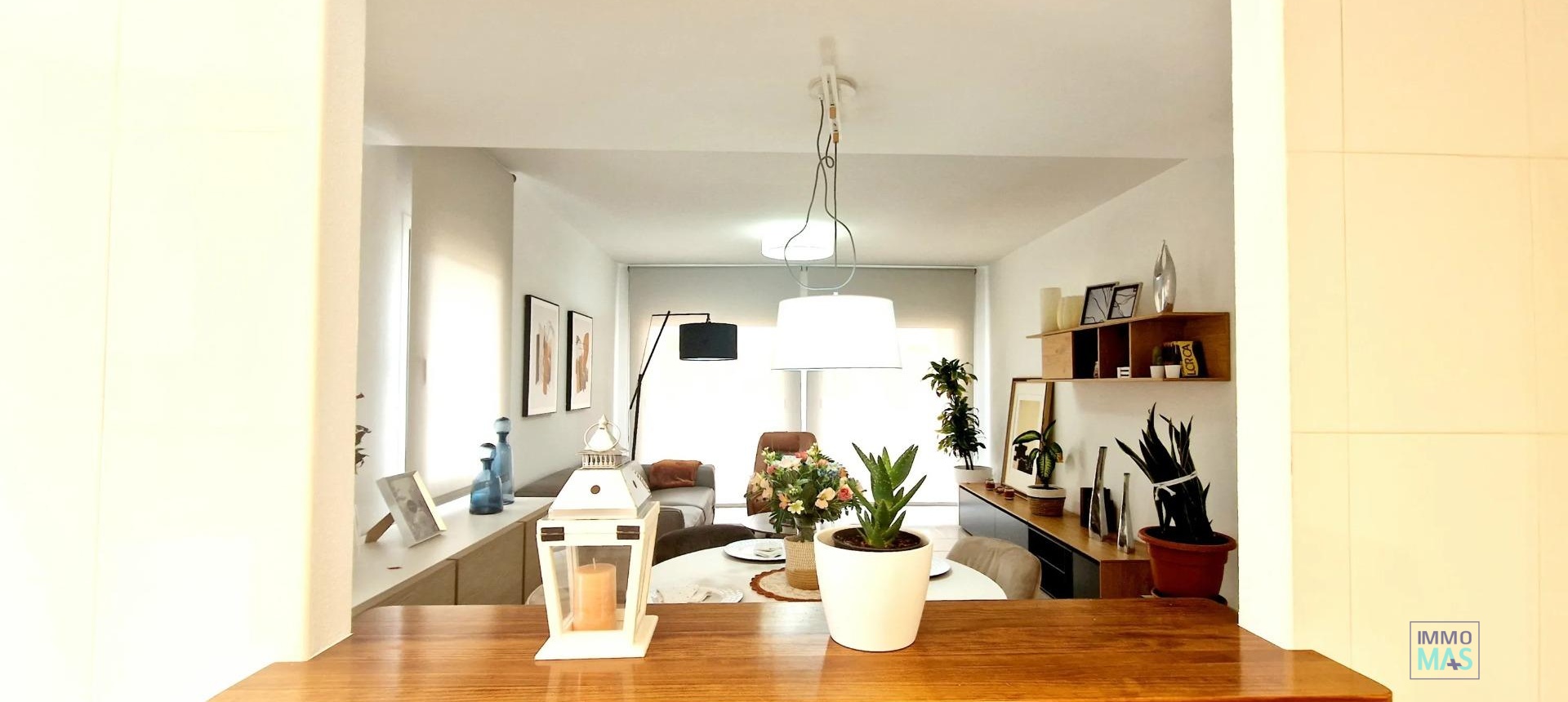 Obra nueva - Villa - Lorca - Purias