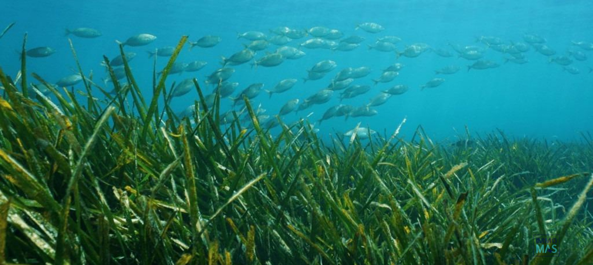 Nouvelle construction - Villa - Benissa - Racó Del Galeno