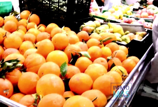 Nouvelle construction - studio - Torrevieja - Centro