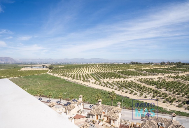 Nouvelle construction - Villa - Algorfa - La Finca Golf