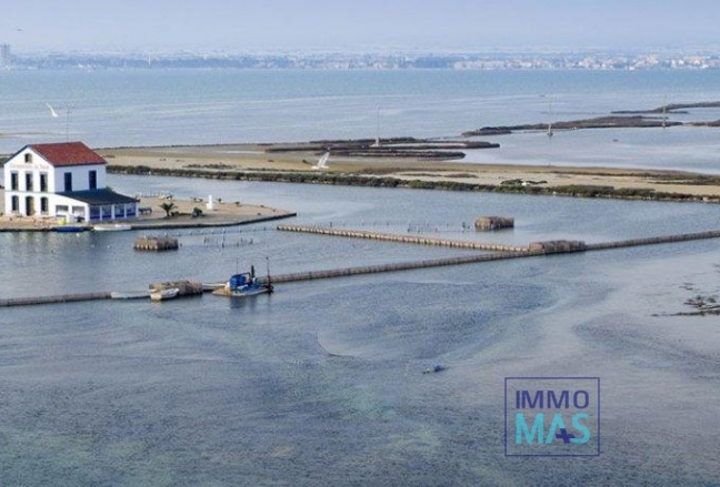 Nouvelle construction - Villa - San Pedro del Pinatar - Los Plazas