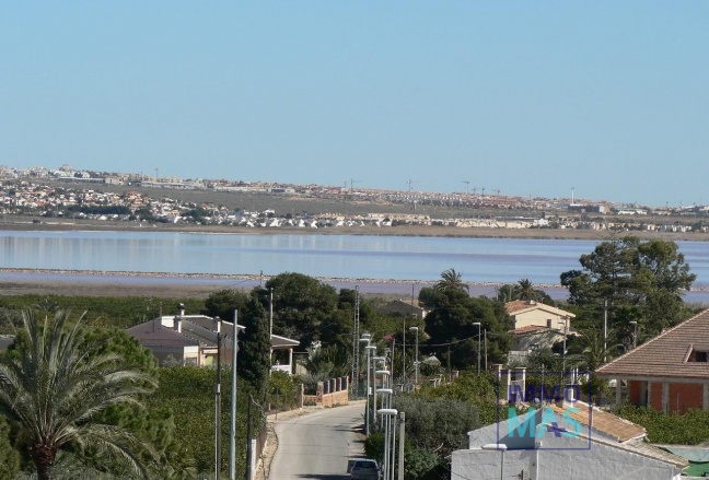 Nouvelle construction - Villa - Los Montesinos - La Herrada