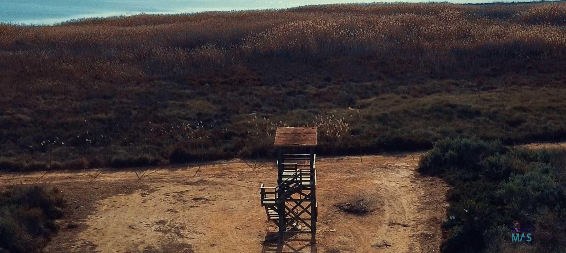 Nouvelle construction - Villa - Los Montesinos - La Herrada