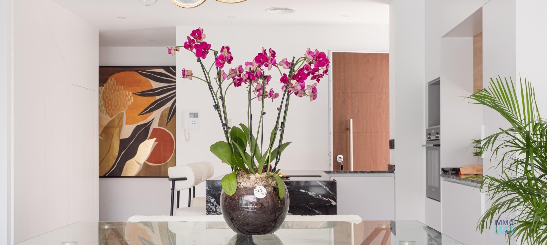 Obra nueva - Villa - San Pedro del Pinatar - San Pedro Del Pinatar