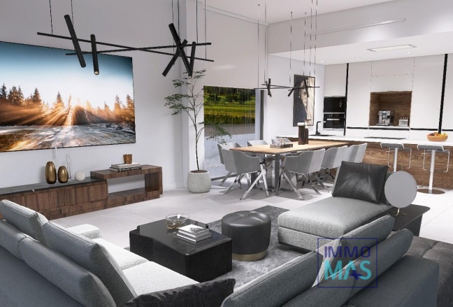 Nouvelle construction - Villa - Aspe - Poligono 19