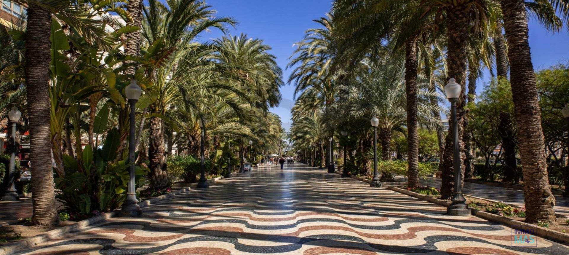 Nouvelle construction - Apartement - Alicante - Centro