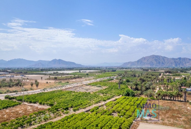 Nouvelle construction - Apartement - Jacarilla - pueblo