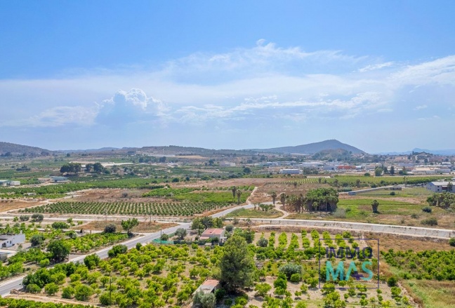 Nouvelle construction - Apartement - Jacarilla - pueblo