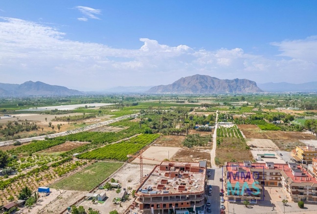 Nouvelle construction - Apartement - Jacarilla - pueblo