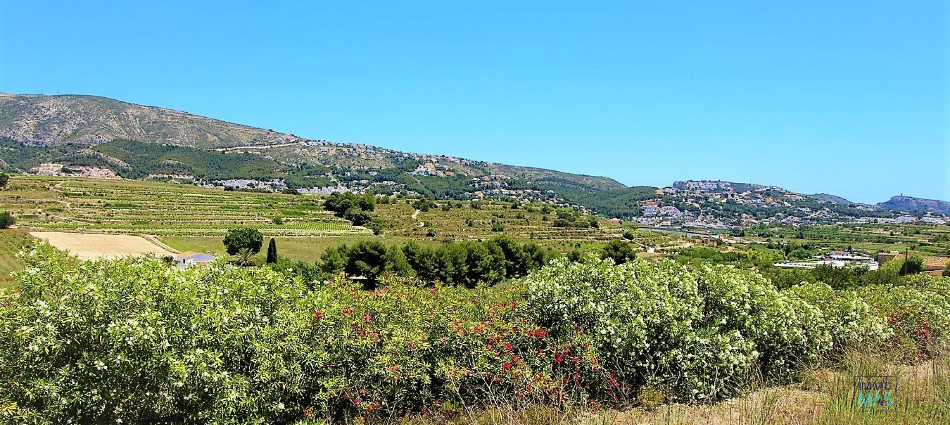Nouvelle construction - Finca - Teulada - Campo