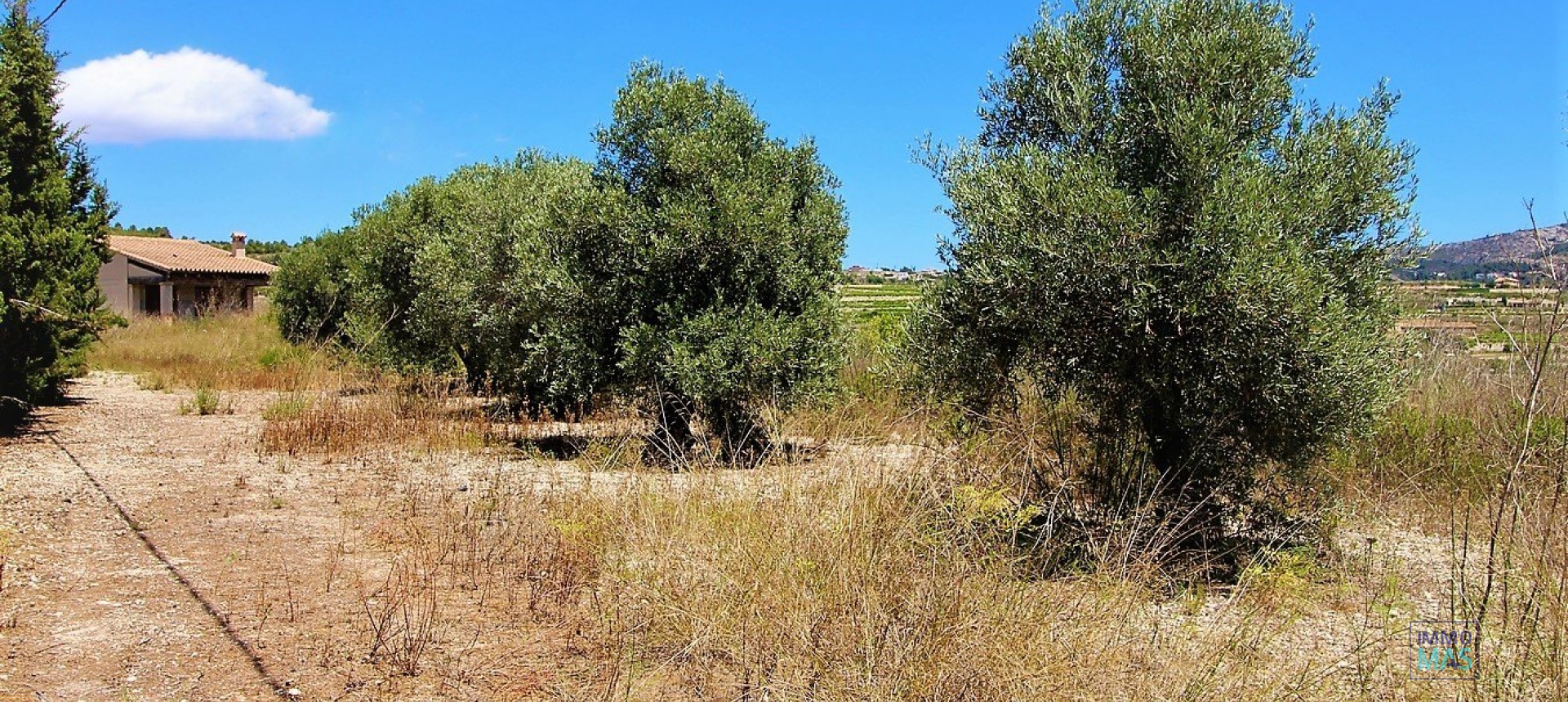 Nouvelle construction - Finca - Teulada - Campo