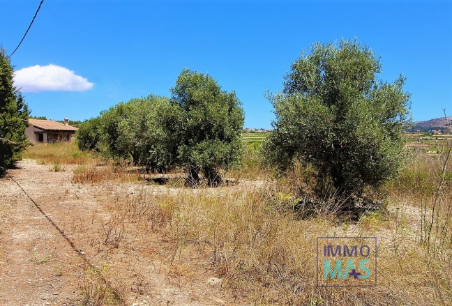 Nouvelle construction - Finca - Teulada - Campo