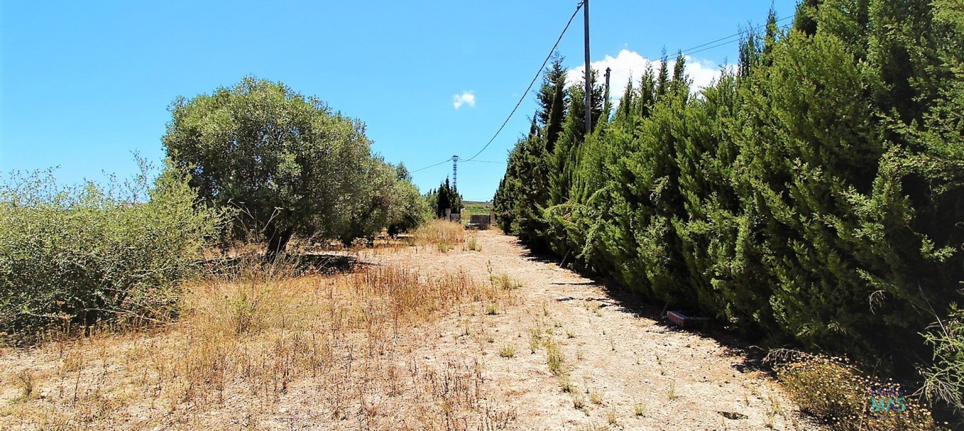 Nouvelle construction - Finca - Teulada - Campo