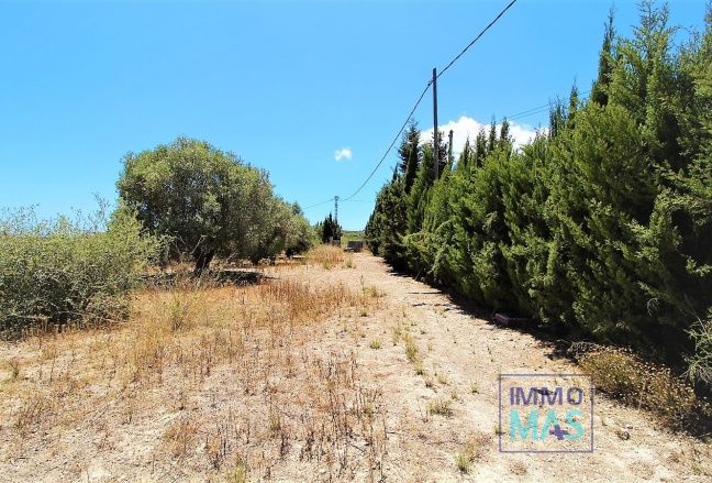 Nouvelle construction - Finca - Teulada - Campo