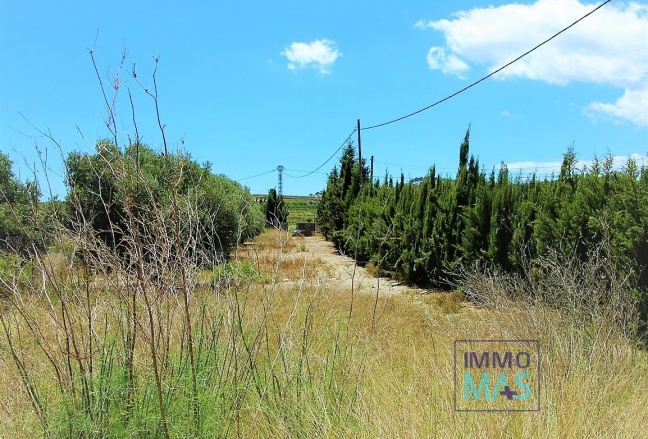 Nouvelle construction - Finca - Teulada - Campo