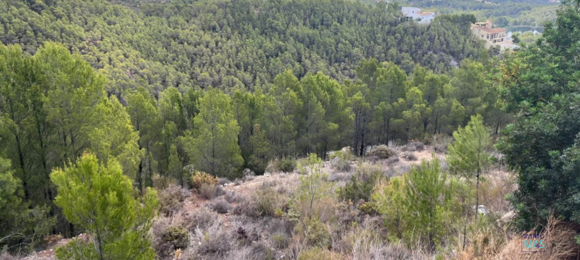 Revente - Parcelle / Terrain - Callosa d´en Sarrià