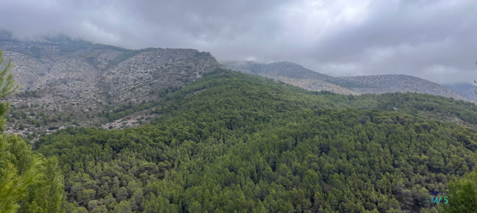 Revente - Parcelle / Terrain - Callosa d´en Sarrià