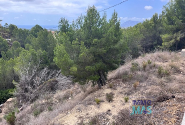 Revente - Parcelle / Terrain - Callosa d´en Sarrià