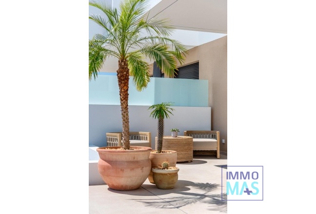 Nouvelle construction - Semidetached - Dolores - Sector 3