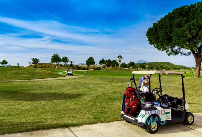 Nouvelle construction - Top Floor Bungalow - Orihuela Costa - Vistabella Golf