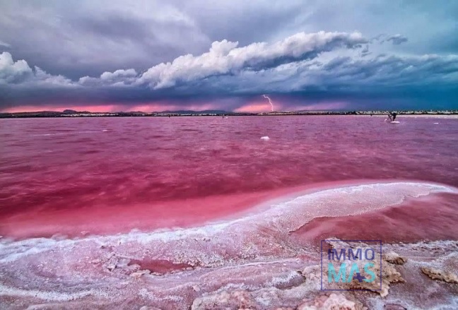 Obra nueva - Apartamento - Torrevieja - Centro