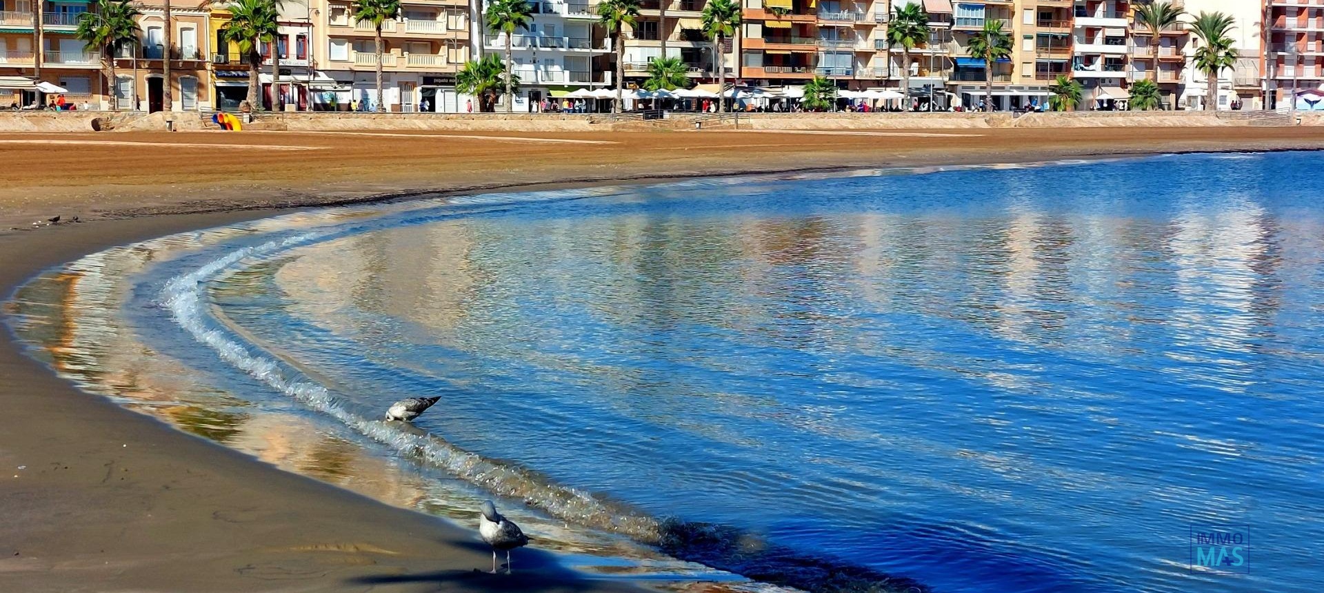 Nouvelle construction - Top Floor Bungalow - Fuente Álamo - La Pinilla