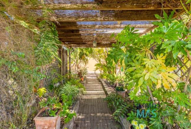 Herverkoop - Finca - Teulada - Campo