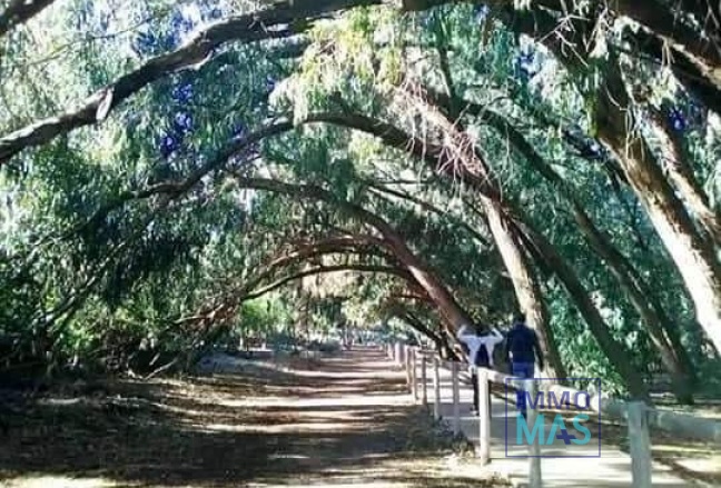 Nouvelle construction - Top Floor Bungalow - Torrevieja - Altos del Sol