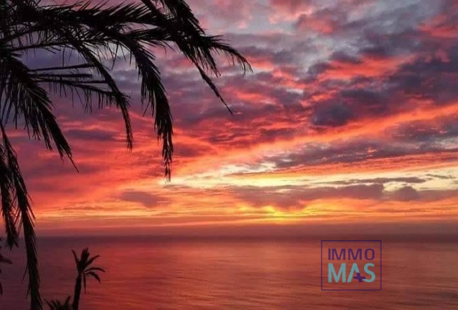 Nouvelle construction - Top Floor Bungalow - Torrevieja - Altos del Sol