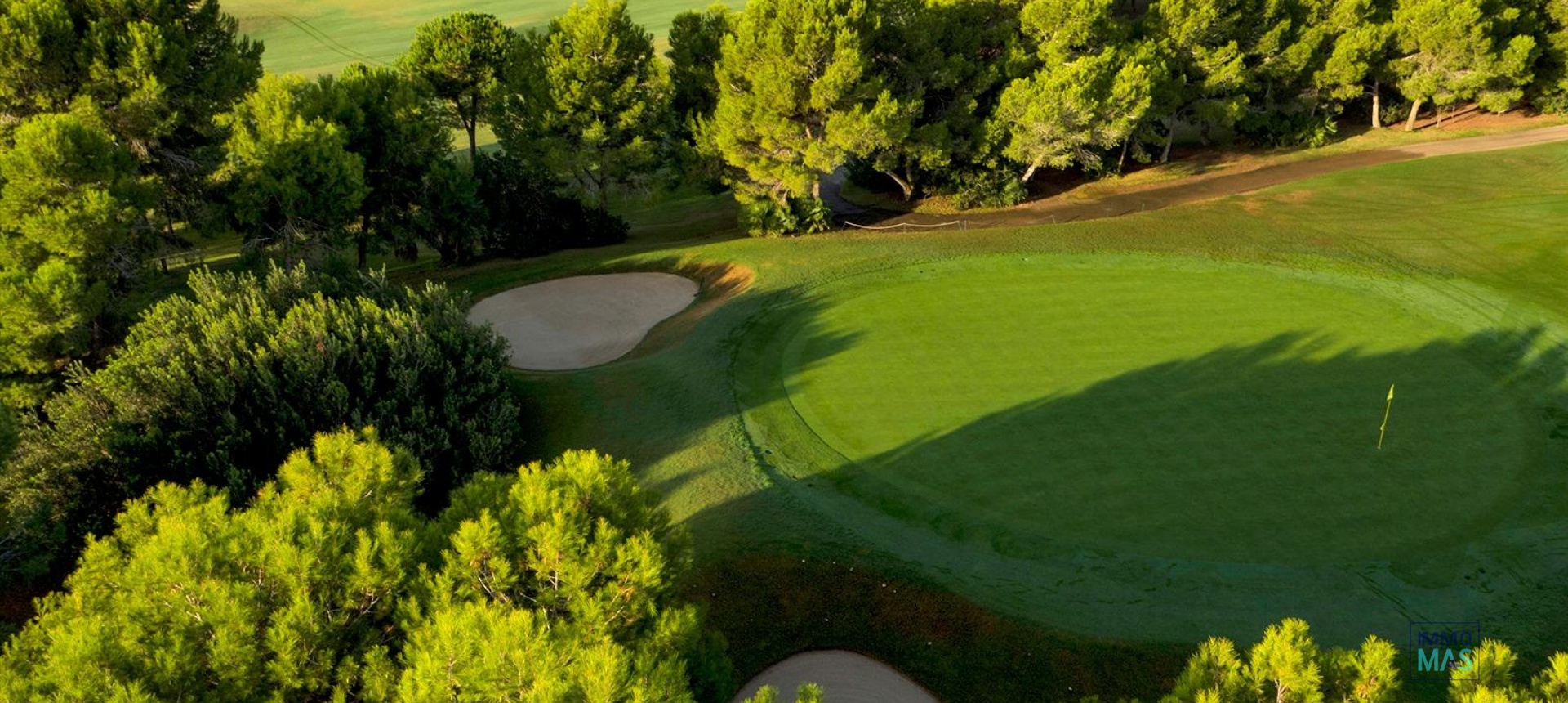 Nouvelle construction - Villa - Pilar de la Horadada - Lo Romero Golf