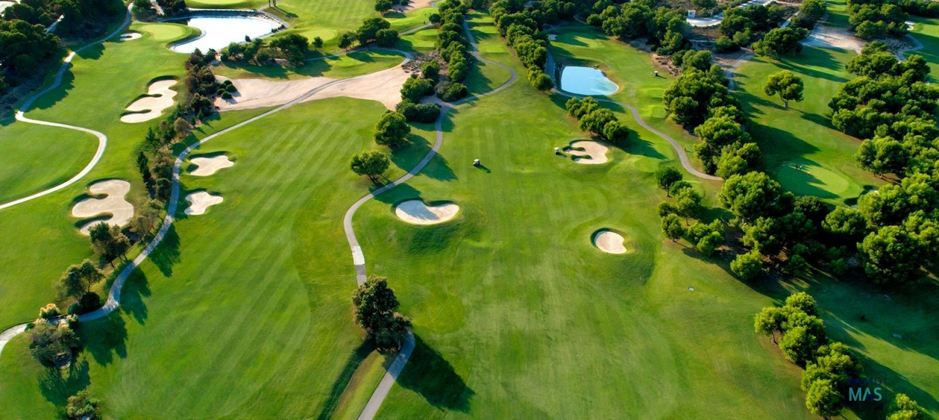 Nouvelle construction - Villa - Pilar de la Horadada - Lo Romero Golf