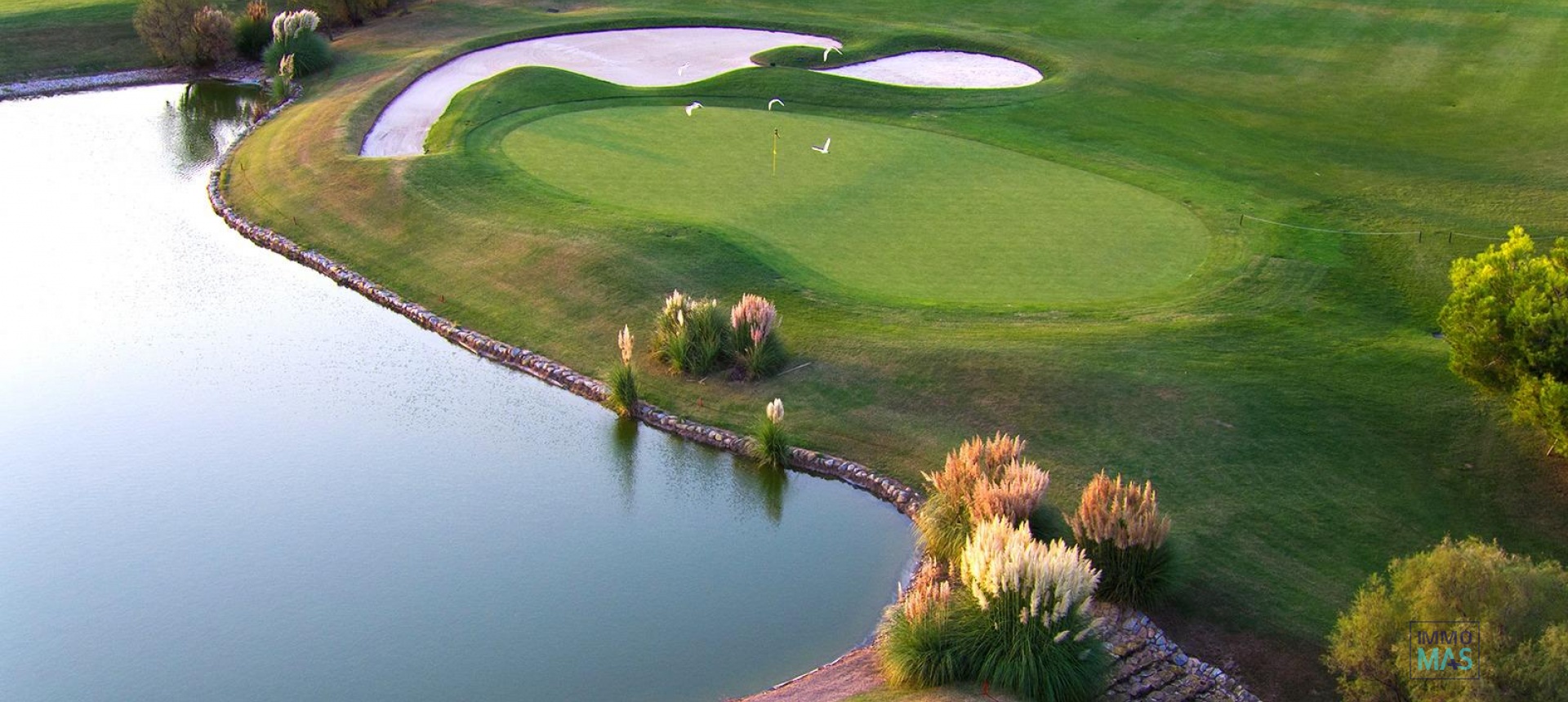 Nouvelle construction - Villa - Pilar de la Horadada - Lo Romero Golf