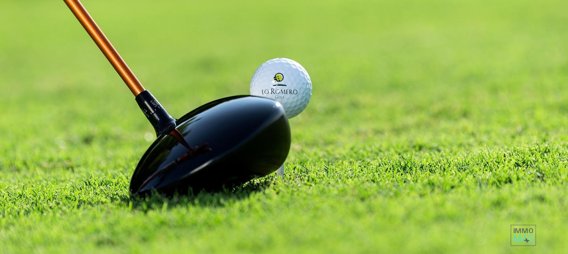 Nouvelle construction - Villa - Pilar de la Horadada - Lo Romero Golf