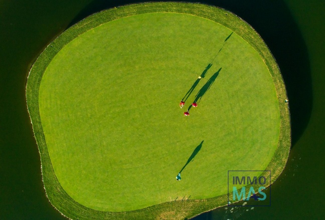 Nouvelle construction - Villa - Pilar de la Horadada - Lo Romero Golf