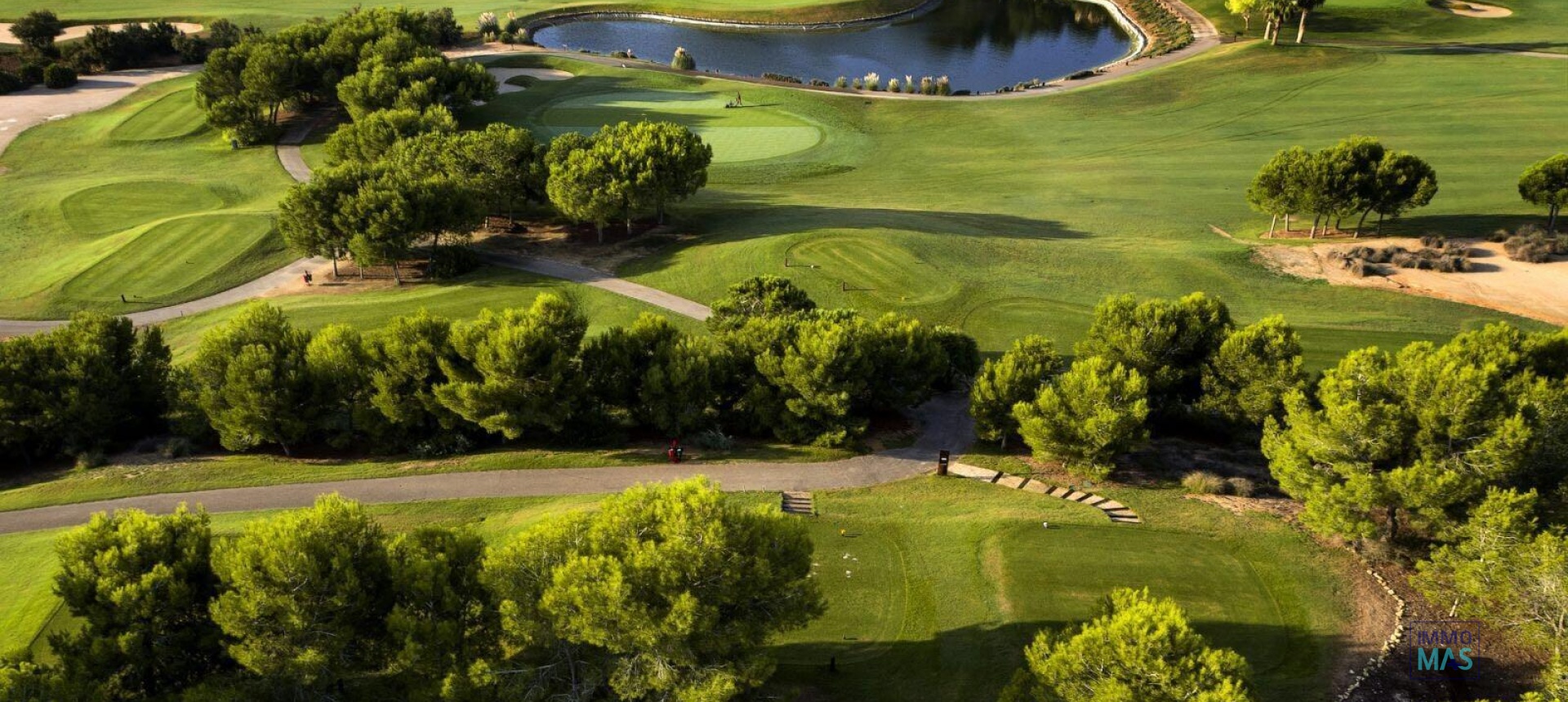 Nouvelle construction - Villa - Pilar de la Horadada - Lo Romero Golf