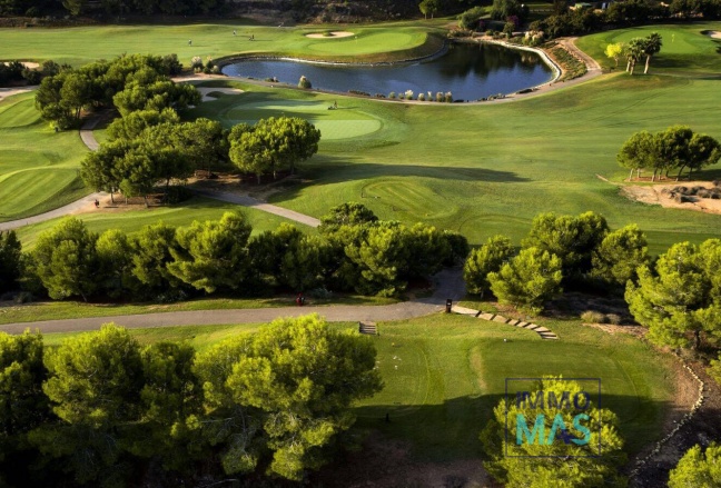 Nouvelle construction - Villa - Pilar de la Horadada - Lo Romero Golf