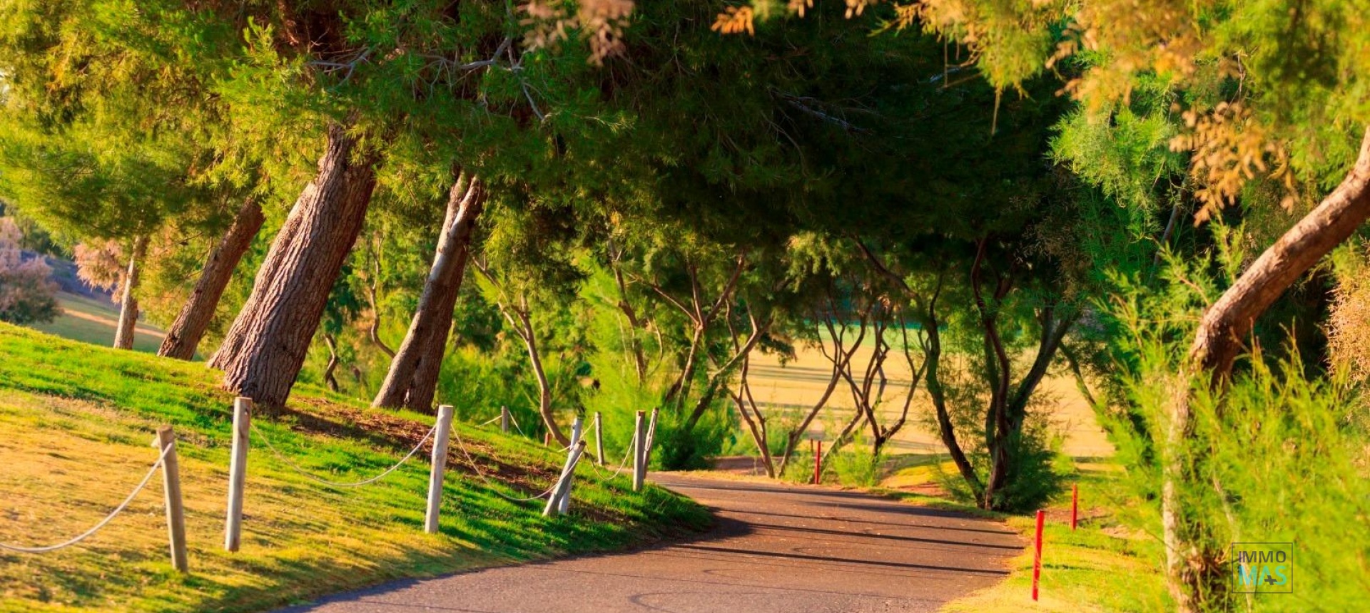 Nouvelle construction - Villa - Pilar de la Horadada - Lo Romero Golf