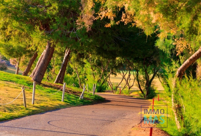 Nouvelle construction - Villa - Pilar de la Horadada - Lo Romero Golf